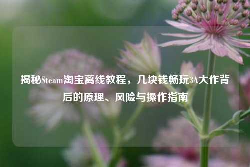 揭秘Steam淘宝离线教程,几块钱畅玩3A大作背后的原理、风险与操作指南