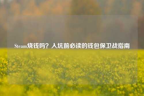 Steam烧钱吗？入坑前必读的钱包保卫战指南