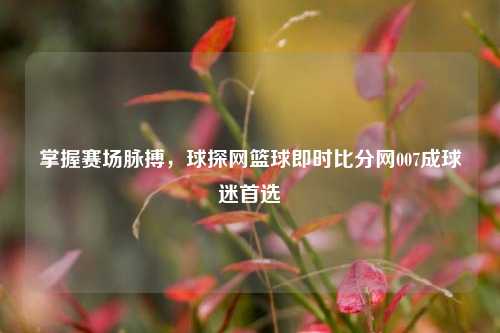 掌握赛场脉搏,球探网篮球即时比分网007成球迷首选