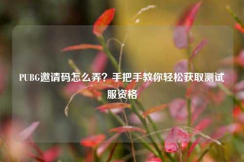 PUBG邀请码怎么弄?手把手教你轻松获取测试服资格