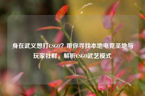 身在武义想打CSGO?带你寻找本地电竞圣地与玩家社群,解析CSGO武艺模式