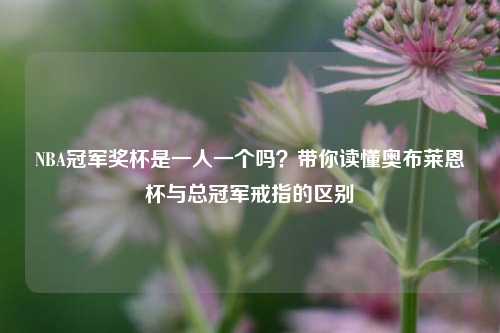 NBA冠军奖杯是一人一个吗?带你读懂奥布莱恩杯与总冠军戒指的区别