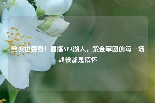 熬夜也要看!直播NBA湖人,紫金军团的每一场战役都是情怀