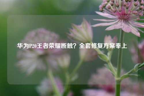华为P20王者荣耀断触?全套修复方案奉上