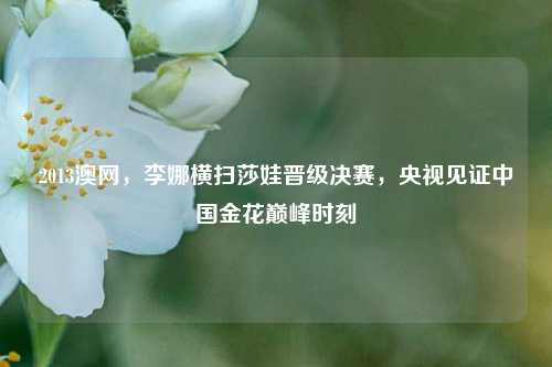 2013澳网，李娜横扫莎娃晋级决赛，央视见证中国金花巅峰时刻