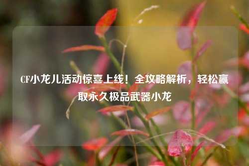 CF小龙儿活动惊喜上线!全攻略解析,轻松赢取永久极品武器小龙