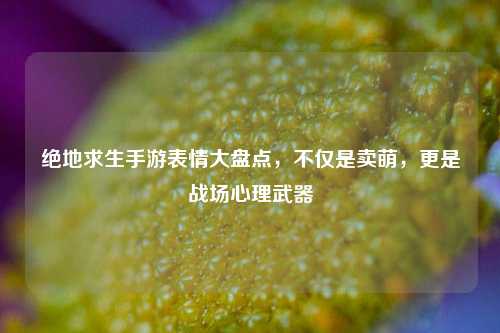 绝地求生手游表情大盘点,不仅是卖萌,更是战场心理武器