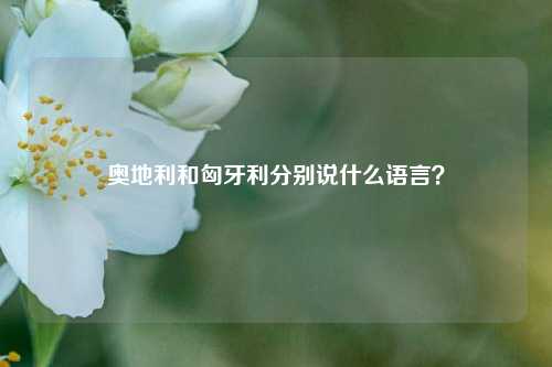 奥地利和匈牙利分别说什么语言?