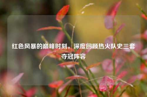 红色风暴的巅峰时刻,深度回顾热火队史三套夺冠阵容