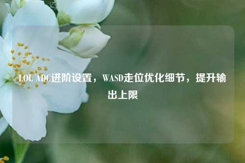 LOL ADC进阶设置，WASD走位优化细节，提升输出上限