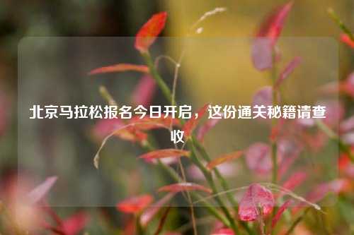 北京马拉松报名今日开启,这份通关秘籍请查收