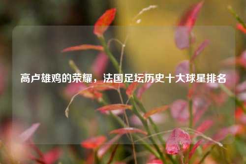 高卢雄鸡的荣耀,法国足坛历史十大球星排名
