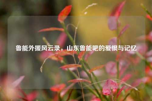 鲁能外援风云录,山东鲁能吧的爱恨与记忆