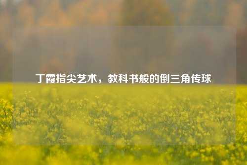 丁霞指尖艺术,教科书般的倒三角传球