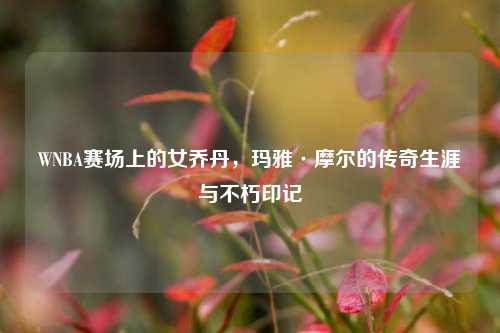 WNBA赛场上的女乔丹,玛雅·摩尔的传奇生涯与不朽印记