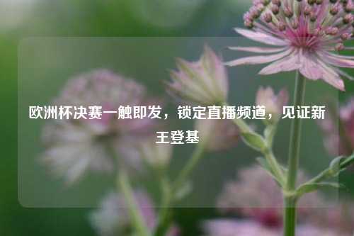 欧洲杯决赛一触即发，锁定直播频道，见证新王登基