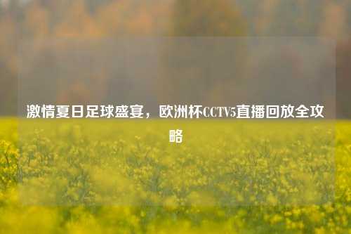 激情夏日足球盛宴,欧洲杯CCTV5直播回放全攻略