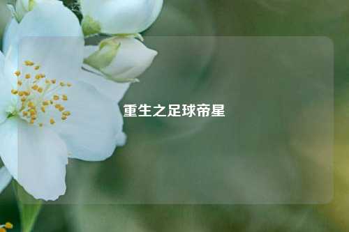 重生之足球帝星