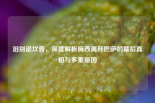 泪别诺坎普,深度解析梅西离开巴萨的幕后真相与多重原因