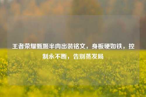 王者荣耀甄姬半肉出装铭文,身板硬如铁,控制永不断,告别蒸发局