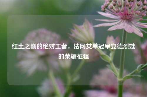 红土之巅的绝对王者,法网女单冠军安德烈娃的荣耀征程