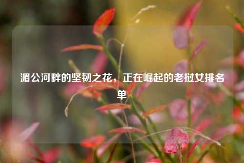 湄公河畔的坚韧之花,正在崛起的老挝女排名单