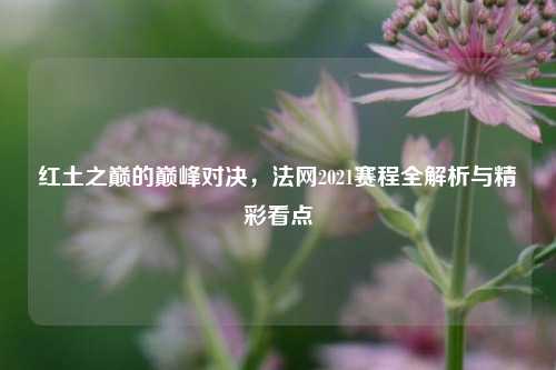 红土之巅的巅峰对决,法网2021赛程全解析与精彩看点