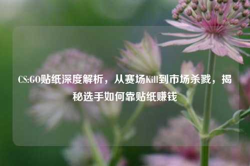CS:GO贴纸深度解析,从赛场Kill到市场杀戮,揭秘选手如何靠贴纸赚钱
