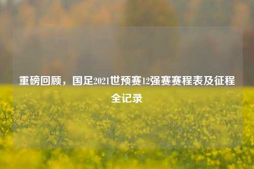 重磅回顾,国足2021世预赛12强赛赛程表及征程全记录