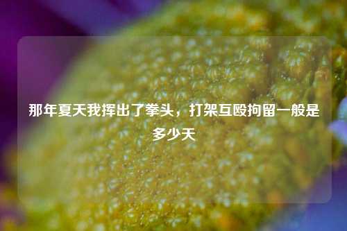 那年夏天我挥出了拳头,打架互殴拘留一般是多少天