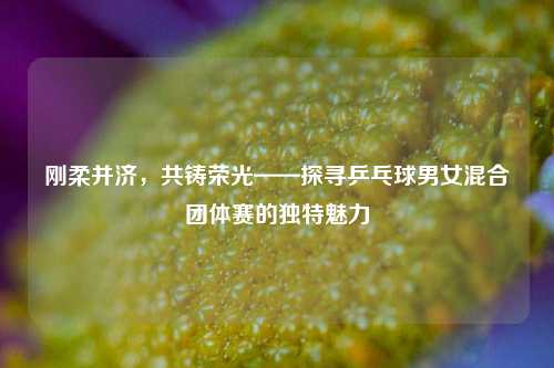 刚柔并济,共铸荣光——探寻乒乓球男女混合团体赛的独特魅力