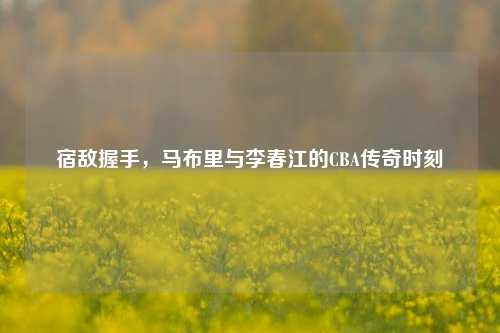 宿敌握手,马布里与李春江的CBA传奇时刻