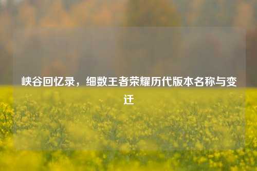 峡谷回忆录，细数王者荣耀历代版本名称与变迁