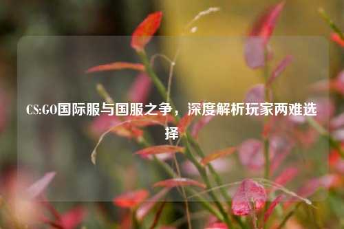 CS:GO国际服与国服之争,深度解析玩家两难选择