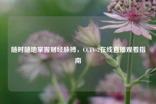 随时随地掌握财经脉搏，CCTV-2在线直播观看指南