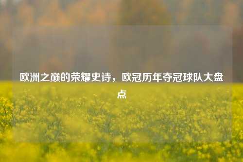 欧洲之巅的荣耀史诗,欧冠历年夺冠球队大盘点