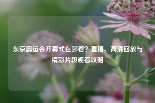 东京奥运会开幕式在哪看?直播、高清回放与精彩片段观看攻略