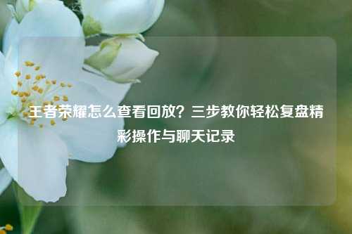 王者荣耀怎么查看回放？三步教你轻松复盘精彩操作与聊天记录