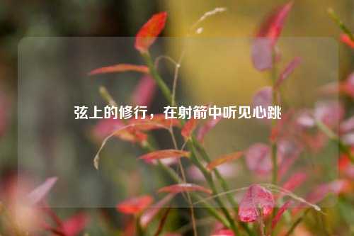 弦上的修行,在射箭中听见心跳