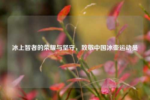冰上智者的荣耀与坚守,致敬中国冰壶运动员