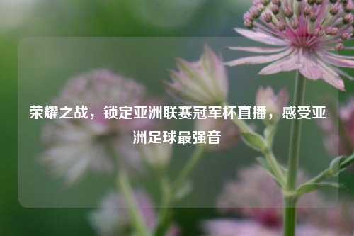 荣耀之战,锁定亚洲联赛冠军杯直播,感受亚洲足球最强音