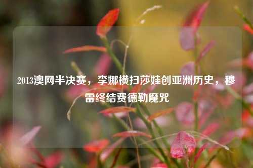2013澳网半决赛,李娜横扫莎娃创亚洲历史,穆雷终结费德勒魔咒
