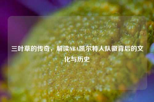 三叶草的传奇,解读NBA凯尔特人队徽背后的文化与历史