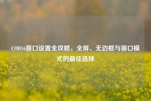 COD16窗口设置全攻略,全屏、无边框与窗口模式的最佳选择