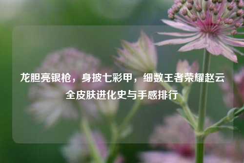 龙胆亮银枪,身披七彩甲,细数王者荣耀赵云全皮肤进化史与手感排行