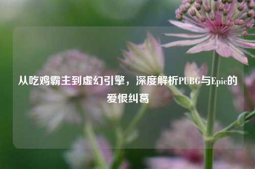 从吃鸡霸主到虚幻引擎,深度解析PUBG与Epic的爱恨纠葛