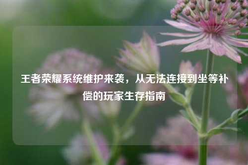 王者荣耀系统维护来袭,从无法连接到坐等补偿的玩家生存指南