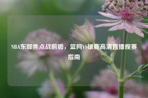 NBA东部焦点战前瞻,篮网VS雄鹿高清直播观赛指南