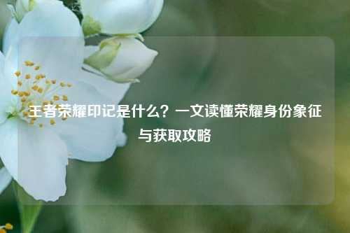 王者荣耀印记是什么?一文读懂荣耀身份象征与获取攻略