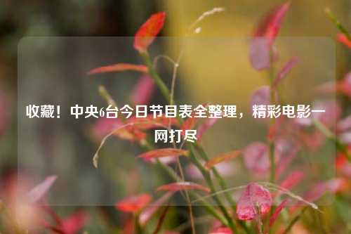 收藏!中央6台今日节目表全整理,精彩电影一网打尽